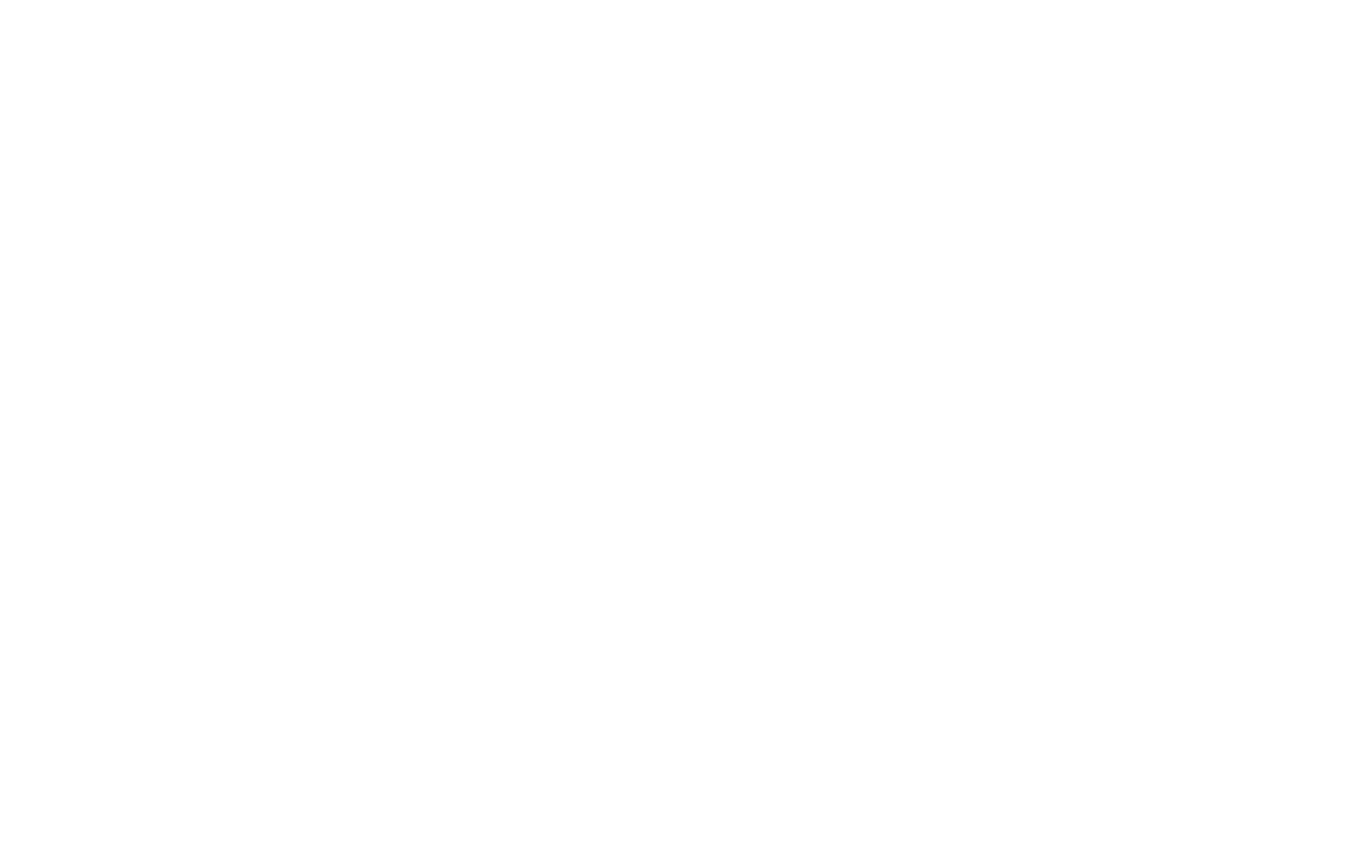 Frame 12