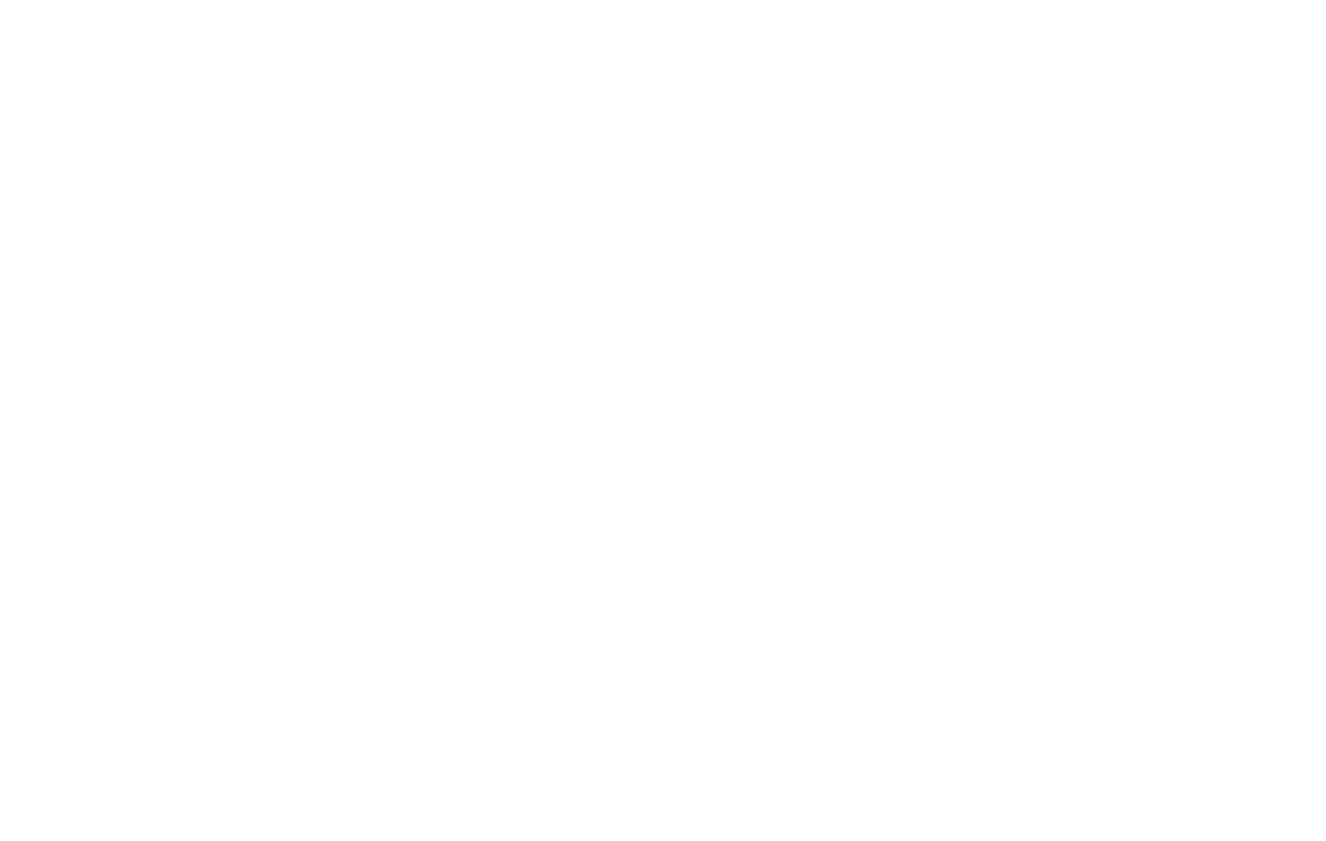 Frame 17